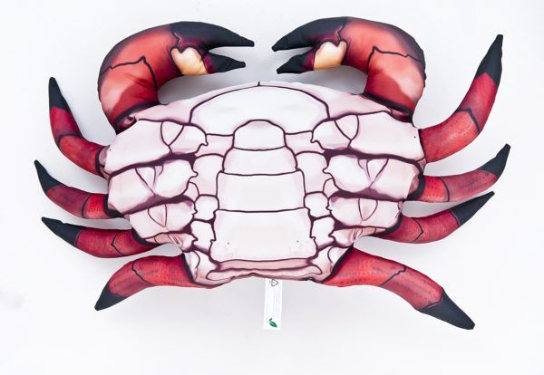 Poduszka krab czerowny przypominająca prawdziwego kraba.